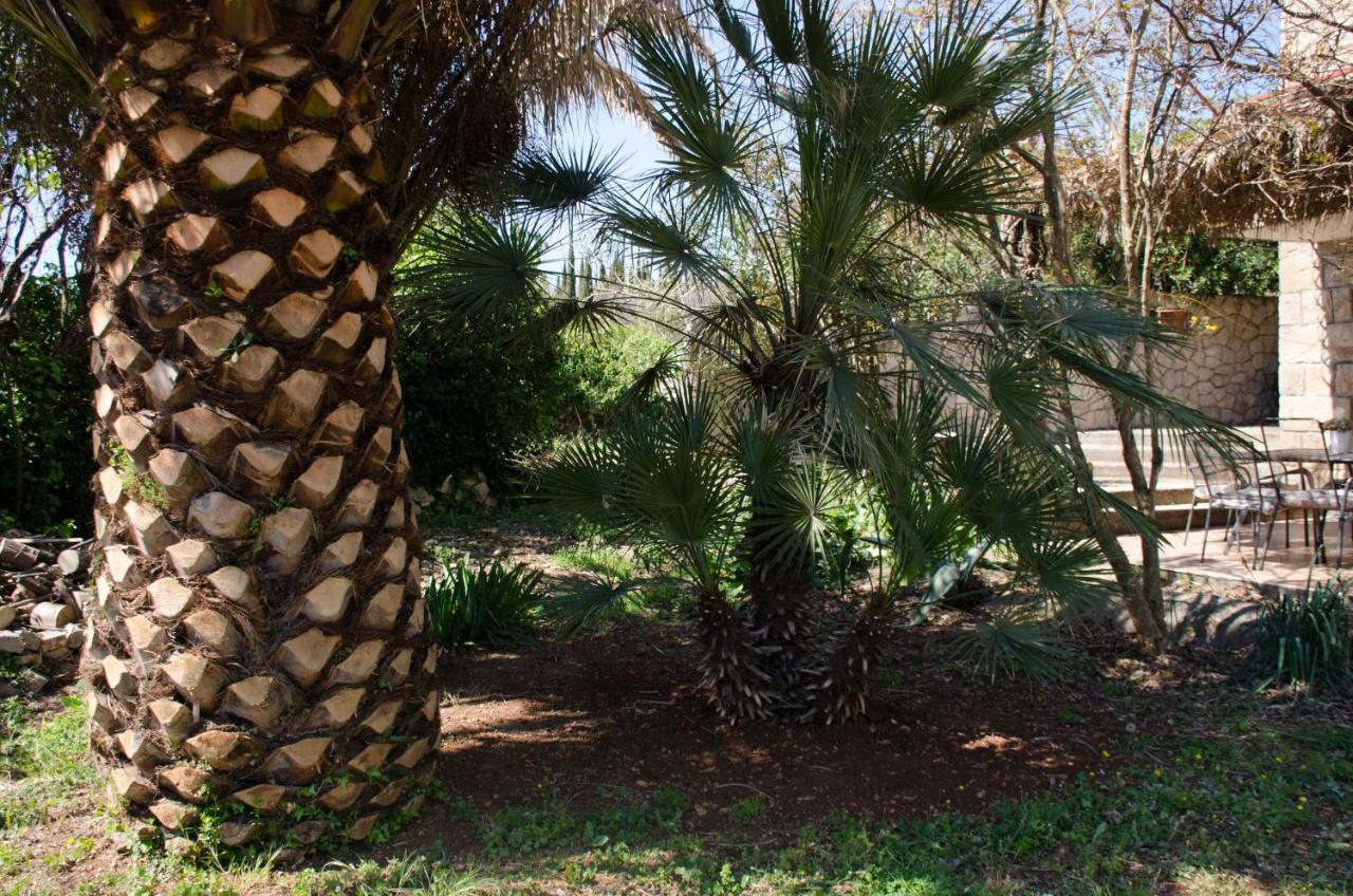 Čilipi Apartment A&T Countryside מראה חיצוני תמונה